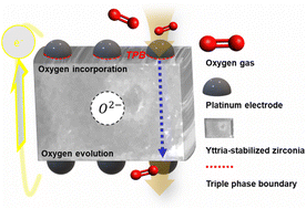 Graphical abstract: Understanding the phase stability of yttria stabilized zirconia electrolyte under solid oxide electrolysis cell operation conditions