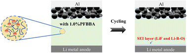 Graphical abstract: Pentafluorobenzene boronic acid with strong Lewis acidity for the modification of PEO-based polymer electrolytes