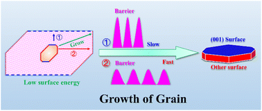 Graphical abstract: The grain morphology and surface properties of a Li-rich Li2MnO3 cathode material: a first-principles study