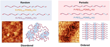 Graphical abstract: Sequence-dependent self-assembly of supramolecular nanofibers in periodic dynamic block copolymers