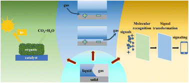 Graphical abstract: The fabrication and application of a triphasic reaction interface based on superwettability for improved reaction efficiency