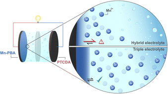 Graphical abstract: Le Chatelier's principle enables stable and sustainable aqueous sodium/magnesium-ion batteries