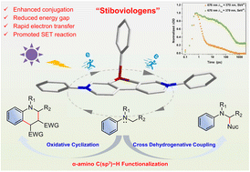 Graphical abstract: Ultrafast charge transfer of stiboviologens for electrochromism and visible light-induced α-amino C(sp3)–H functionalization