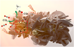 Graphical abstract: Synergistic mediation of dual donor levels in CNS/BOCB-OV heterojunctions for enhanced photocatalytic CO2 reduction