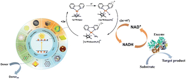 Graphical abstract: Recent advances in porous materials for photocatalytic NADH regeneration