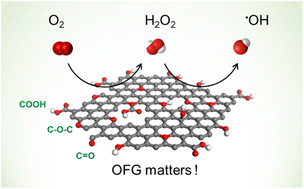 Graphical abstract: Modulating coal-derived carbon toward electrocatalytic generation of hydroxyl radicals for organic contaminant removal