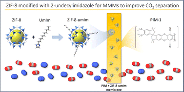 Graphical abstract: ZIF-8 modified with 2-undecylimidazolate as filler for mixed matrix membranes for CO2 separation