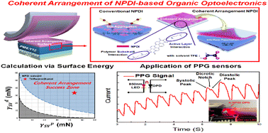 Graphical abstract: Coherent arrangement of perylene diimide derivative via adhesion-controlled transfer for noise-suppressed light signal detection