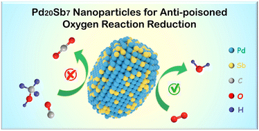 Graphical abstract: Anti-poisoned oxygen reduction reaction by rice-like Pd–Sb nanoparticles