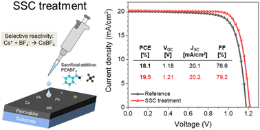 Graphical abstract: Selective reactivity-assisted sacrificial additive coating for surface passivation of wide bandgap perovskite solar cells with cesium tetrafluoroborate