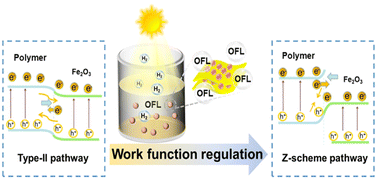 Graphical abstract: Z-scheme charge transfer between a conjugated polymer and α-Fe2O3 for simultaneous photocatalytic H2 evolution and ofloxacin degradation