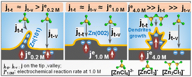 Graphical abstract: Solvation structure regulation of deep eutectic solvents: stabilization of the zinc anode in rechargeable zinc–air batteries