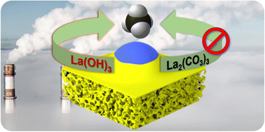 Graphical abstract: Uncovering the critical function of lanthanum in CH4 production from CO2 using exsolved LaNiO3 perovskite catalysts