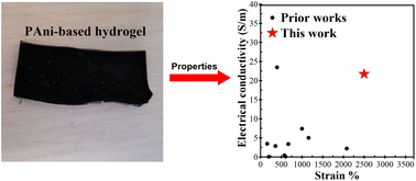 Graphical abstract: A highly conductive and ultra-stretchable polyaniline/cellulose nanocrystal/polyacrylamide hydrogel with hydrophobic associations for wearable strain sensors