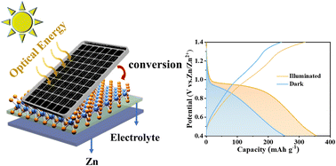 Graphical abstract: Design of a light-sensitive tubular MoS2/C composite as the cathode for photo-enhanced rechargeable zinc-ion batteries