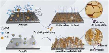 Graphical abstract: Interface regulation using a fluorinated vinylene-linked covalent organic framework for a highly stable Zn anode