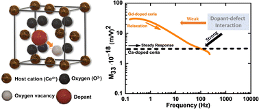 Graphical abstract: Non-classical electrostriction in calcium-doped cerium oxide ceramics