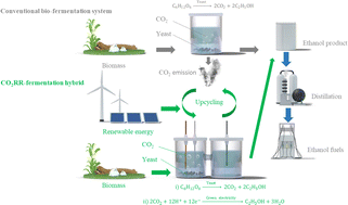 Graphical abstract: Cutting off the upstream and downstream costs for CO2 electroreduction by upcycling fermentation emissions into ethanol