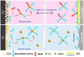 Graphical abstract: An electrolyte additive of bromoxoindole enables uniform Li-ion flux and tunable Li2S deposition for high-performance lithium–sulfur batteries