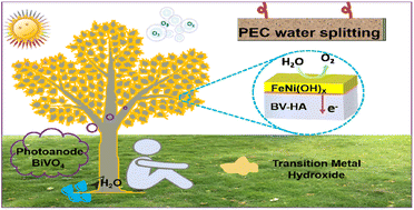 Graphical abstract: Modulation of charge-transfer behavior via adaptive interface treatment for efficient photoelectrochemical water splitting