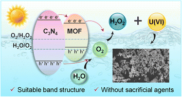 Graphical abstract: MOF-modified C3N4 for efficient photo-induced removal of uranium under air without sacrificial agents