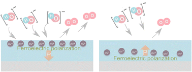 Graphical abstract: Oxygen vacancy redistribution and ferroelectric polarization relaxation on epitaxial perovskite films during an electrocatalytic process