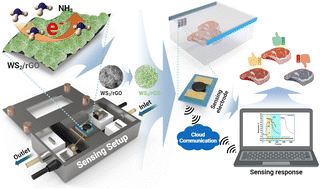 Graphical abstract: Live-tracking of beef freshness by sub-ppb level ammonia detection using WS2/rGO nanoflakes incorporating edge site-enriched acidic sulfur