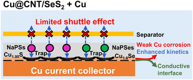 Graphical abstract: Integrated copper host/current collector engineering for enhanced sodium storage in SeS2 electrodes