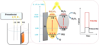 Graphical abstract: Boosting the charge for the selective photoelectrochemical oxidation of hydroquinone in hazardous environments using a fine-tuned heterojunction catalyst