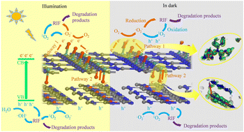 Graphical abstract: Insight into the rapid degradation of antibiotic rifampicin by W-doped O-bridged g-C3N4via the coupling effect of electron replenishment in the dark degradation stage and electrophilic attack in the photocatalytic stage: experiments and DFT simulation calculations