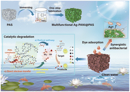 Graphical abstract: One-step construction of silver–polyaniline nanocomposite modified multifunctional sponges for wastewater remediation: adsorption, catalysis and antimicrobial applications