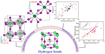 Graphical abstract: Hydrogen bonds delicately restraining photoelectric performance in hybrid perovskites