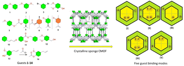 Graphical abstract: A new versatile crystalline sponge for organic structural analysis without the need for activation
