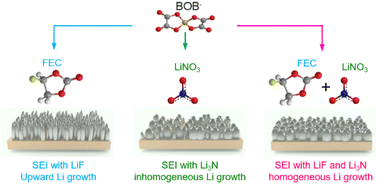 Graphical abstract: Revealing the synergistic effect of LiF and Li3N in solid electrolyte interphases for stable lithium metal batteries using in situ electrochemical atomic force microscopy