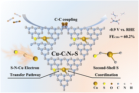 Graphical abstract: Enhanced electrochemical CO2-to-ethylene conversion through second-shell coordination on a Cu single-atom catalyst