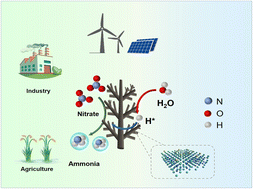 Graphical abstract: A 3D porous P-doped Cu–Ni alloy for atomic H* enhanced electrocatalytic reduction of nitrate to ammonia