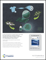 Graphical abstract: Inside back cover