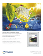 Graphical abstract: Inside back cover