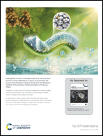 Graphical abstract: Inside back cover