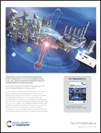 Graphical abstract: Inside back cover