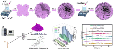 Graphical abstract: Synthesis of l-aspartic acid-based bimetallic hybrid nanoflowers to immobilize snailase for the production of rare ginsenoside compound K