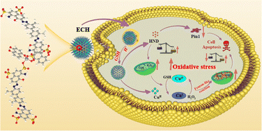 Graphical abstract: TME-triggered copper-coordinated engineered programmable nanogenerators for on-demand cascade-amplifying oxidative stress