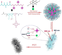 Graphical abstract: In situ generation of peroxynitrite (ONOO−) for enhanced antibacterial photodynamic therapy