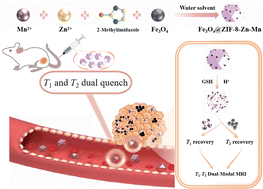 Graphical abstract: Tumor microenvironment responsive T1–T2 dual-mode contrast agent Fe3O4@ZIF-8-Zn–Mn NPs for in vivo magnetic resonance imaging