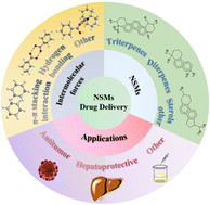 Graphical abstract: Recent advances in natural small molecules as drug delivery systems