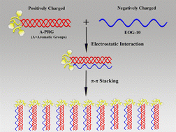 Graphical abstract: Peptide-triggered self-assembly of collagen mimetic peptides into nanospheres by electrostatic interaction and π–π stacking