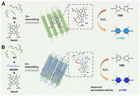 Graphical abstract: Molecular co-assembly of multicomponent peptides for the generation of nanomaterials with improved peroxidase activities