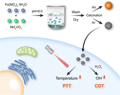 Graphical abstract: Calcination-controlled performance optimization of iron–vanadium bimetallic oxide nanoparticles for synergistic tumor therapy