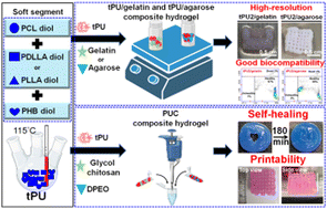 Graphical abstract: Development of double network polyurethane–chitosan composite bioinks for soft neural tissue engineering