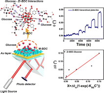 Graphical abstract: The revelation of glucose adsorption mechanisms on hierarchical metal–organic frameworks using a surface plasmon resonance sensor
